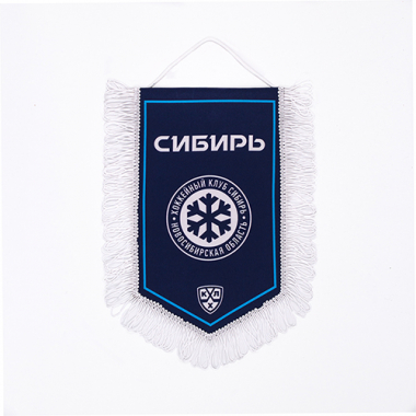 Вымпел 15х22 350р.